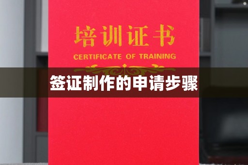 新晃签证制作的申请步骤