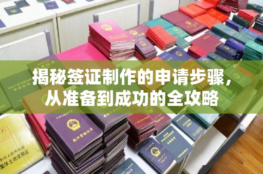 新晃揭秘签证制作的申请步骤，从准备到成功的全攻略
