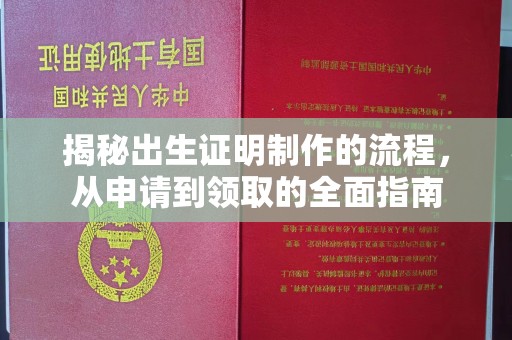 新晃揭秘出生证明制作的流程，从申请到领取的全面指南
